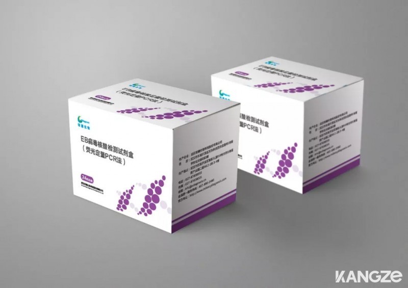 EB病毒核酸检测试剂盒(荧光定量PCR法)