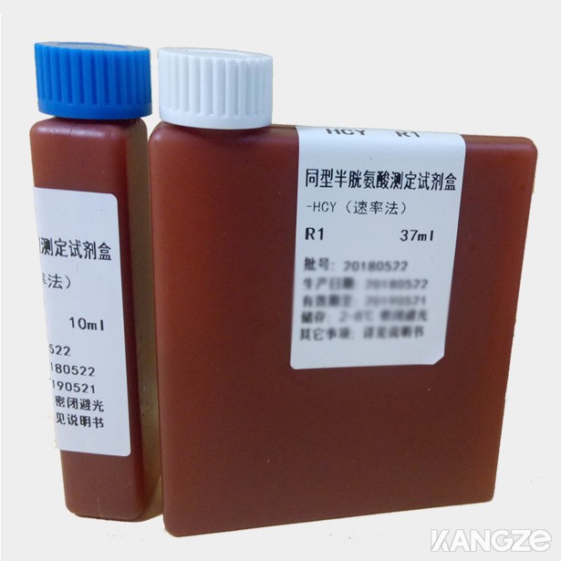 同型半胱氨  酸测定试剂盒