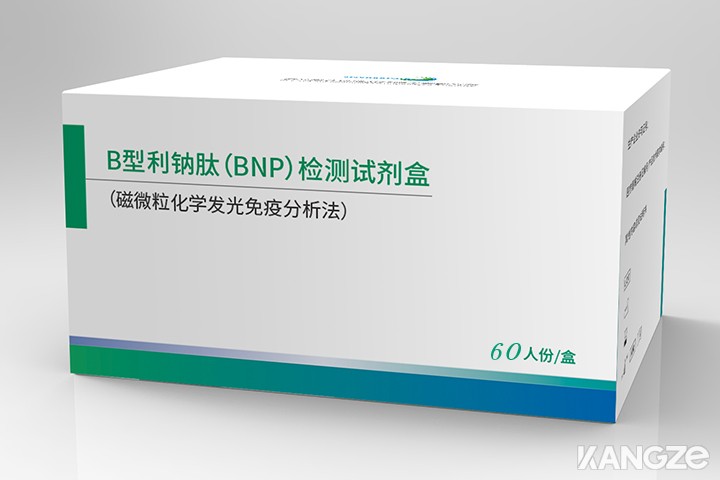 B型利钠肽（BNP）检测试剂盒（磁微粒化学发光免疫分析法）