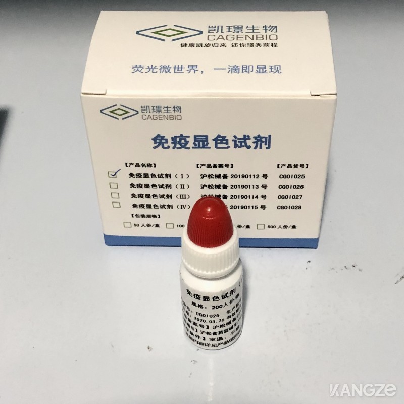 免疫显色试剂（ I ）——多色真菌荧光染色检测试剂