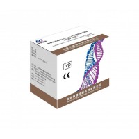 新型冠状病毒核酸检测试剂盒（荧光 PCR 法）
